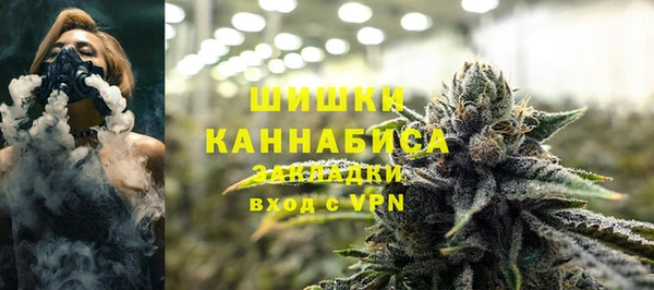 крисы Арсеньев