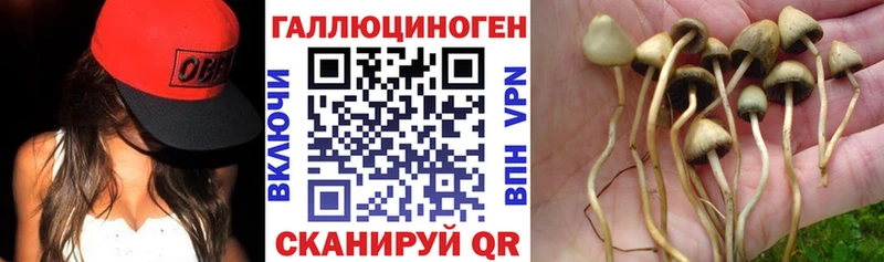 Галлюциногенные грибы MAGIC MUSHROOMS  Мураши 